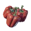 Bell Pepper
