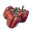 Bell Pepper