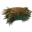 Vukah Nesting Material