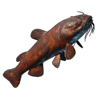 Grilled Shockfin