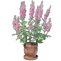 Sage Plant Pot