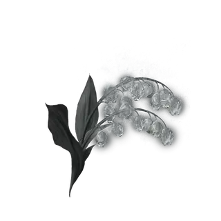 Grave Glovewort [5]