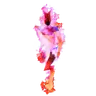Surtling