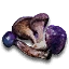 Magic Mushrooms