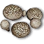 Sewant Mushrooms
