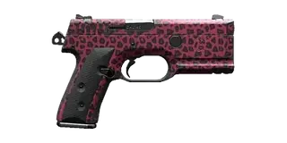 Cheetah