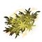Elden-ring fulgurbloom.webp