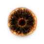 Elden-ring rune-of-an-unsung-hero.webp
