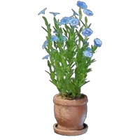 Flax Plant Pot