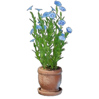 Flax Plant Pot