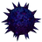 Hydnum Azure Giant Spore