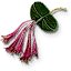 Honeysuckle