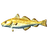 Cod