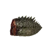 Saurian Tail