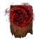 Elden-ring swarm-of-flies.webp