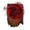 Elden-ring swarm-of-flies.webp
