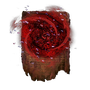 Elden-ring swarm-of-flies.webp