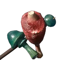 Raw Meat and Azure Russula Skewer