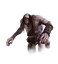 Cyclops