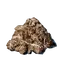 Shroud Infused Farm Soil