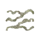 Dragon's Dogma 2 Drenched Icon.webp