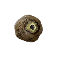 Misshapen Eye