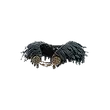 Dragon's Dogma 2 Windbreaking Cloak.webp