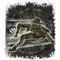 Elden-ring ash-of-war-bloodhounds-step.webp