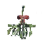 Mistletoe