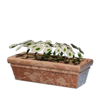 Long White Flower Pot
