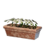 Long White Flower Pot