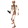 Skeleton