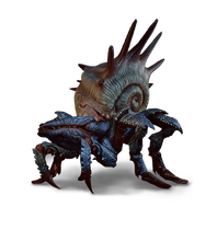 Armored Arachas