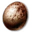 Griffin's Egg