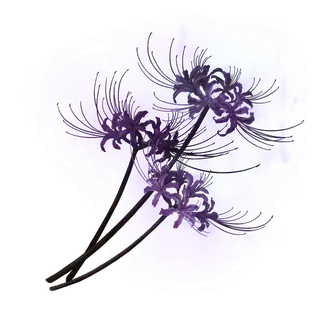 Grave Violet