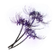 Elden-ring grave-violet.webp