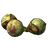 Ironwood Fruit