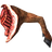 Leg of Goat