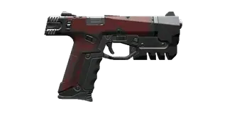 Rook