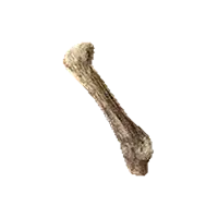 Rugged Bone