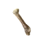 Rugged Bone