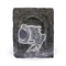 Elden-ring bigmouth-imp-ashes.webp