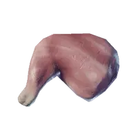 Raw Lean Meat