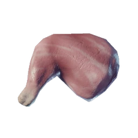 Raw Lean Meat
