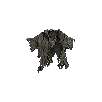 Scrap of Cloth