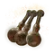 Elden-ring acid-spraymist.webp