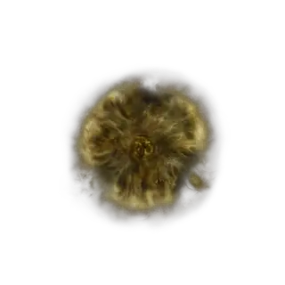 Golden Rune [12]