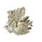Elden-ring mushroom.webp