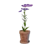 Tiny Pink Flower Pot