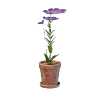 Tiny Pink Flower Pot